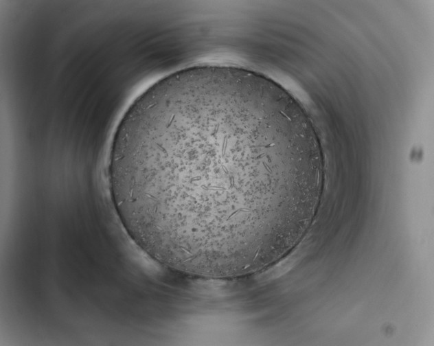 X0000102861248200808251219