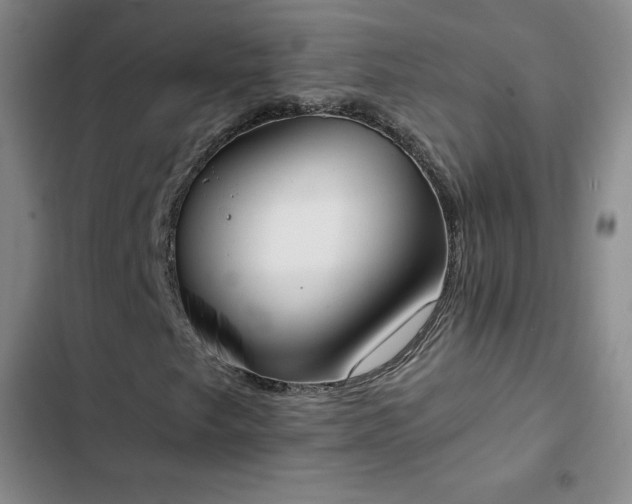 X0000102861249200808251218