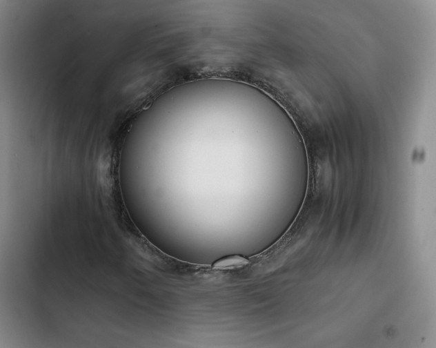 X0000102861250200808251218