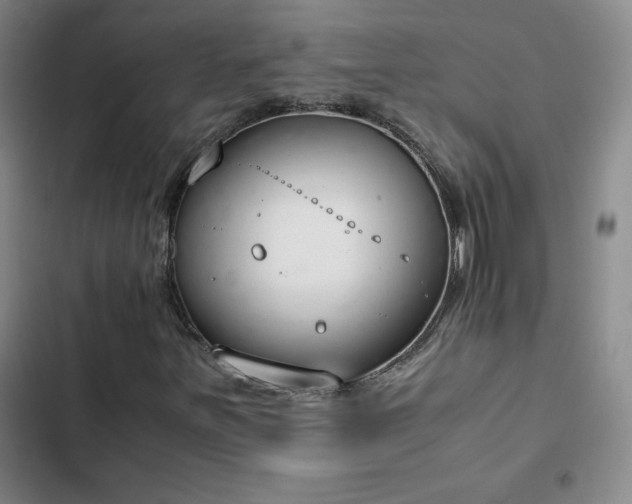 X0000102861251200808251218