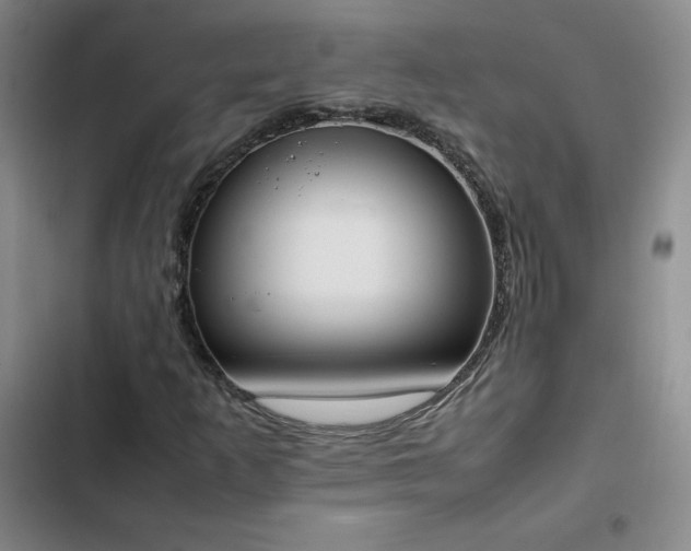 X0000102861253200808251218