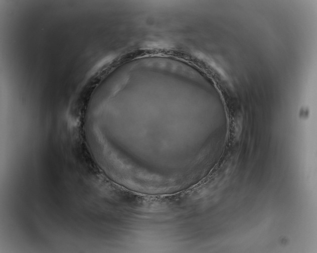 X0000102861254200808251218