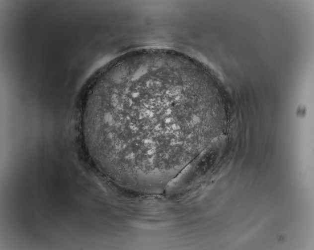 X0000102861255200808251218