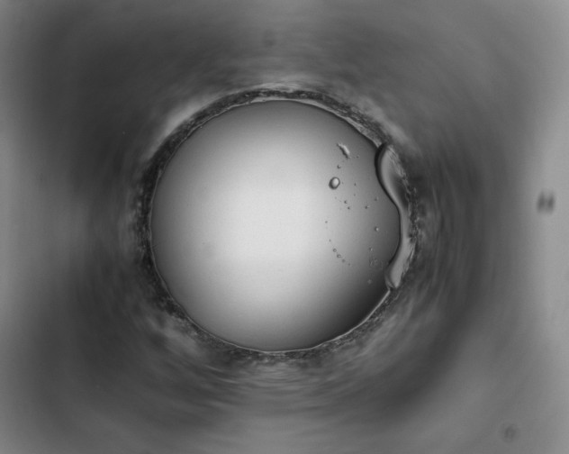 X0000102861256200808251218