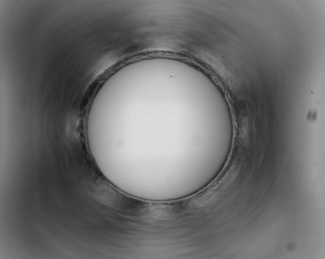 X0000102861258200808251218