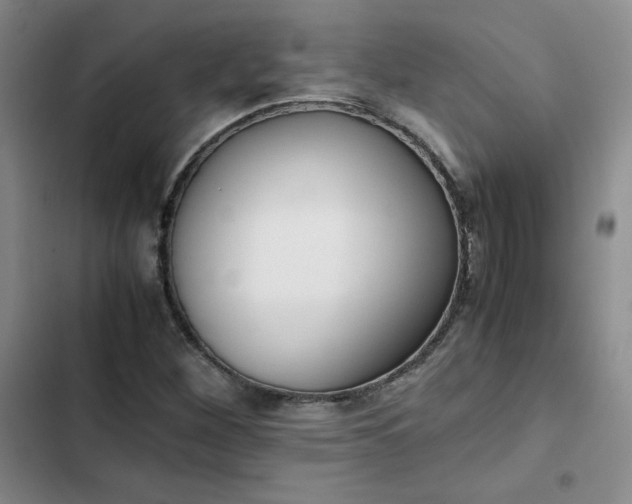 X0000102861260200808251218