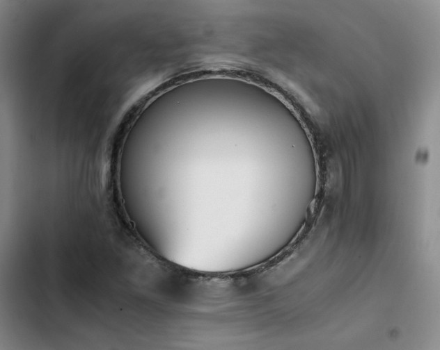 X0000102861261200808251218