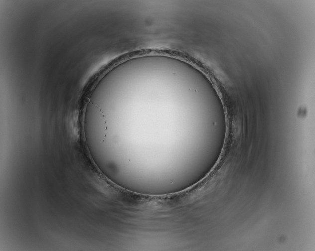 X0000102861262200808251218