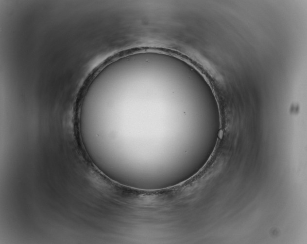 X0000102861264200808251218