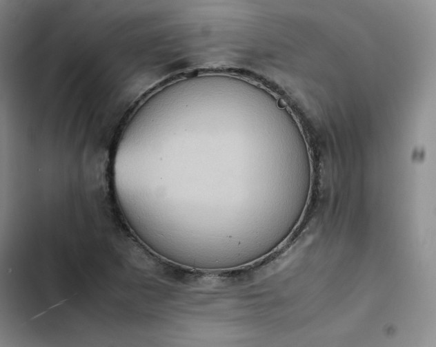 X0000102861265200808251218