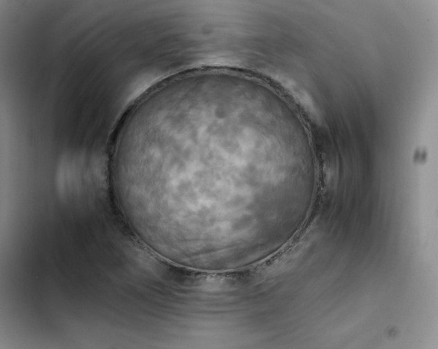 X0000102861266200808251218