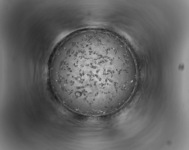 X0000102861267200808251218