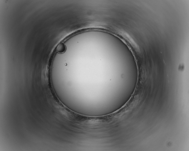 X0000102861268200808251218