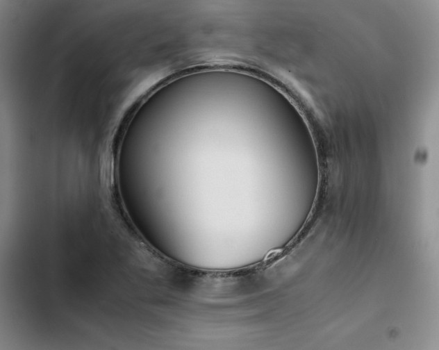 X0000102861269200808251218