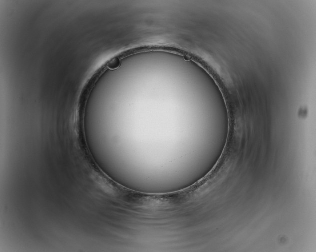 X0000102861270200808251217