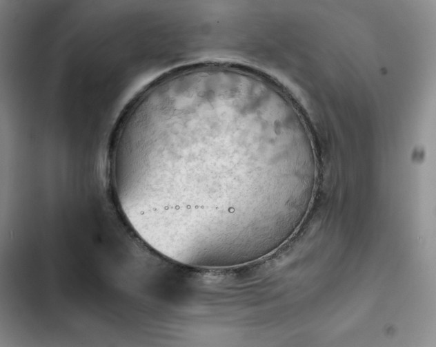 X0000102861271200808251217