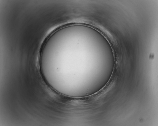 X0000102861272200808251217