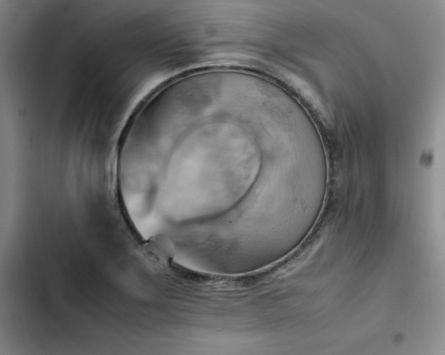 X0000102861275200808251217