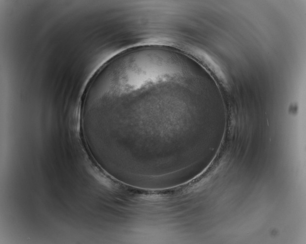 X0000102861276200808251217