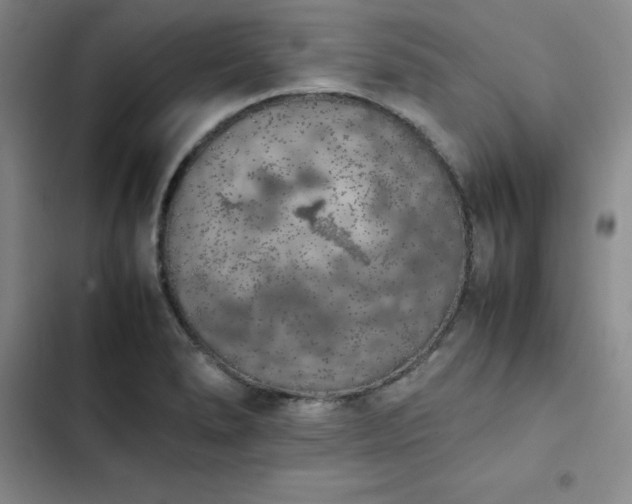 X0000102861278200808251217