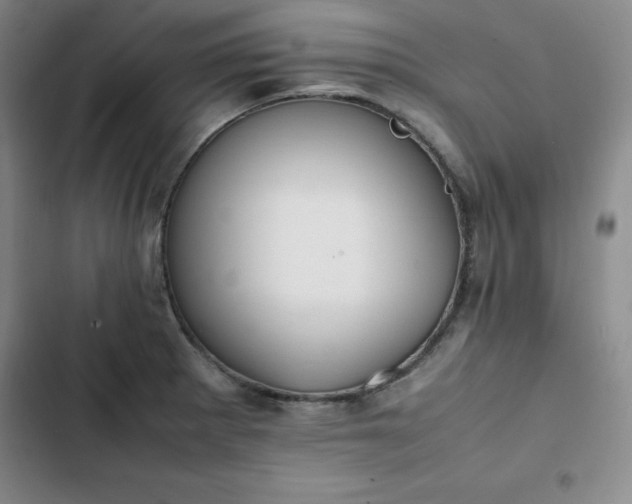 X0000102861281200808251217