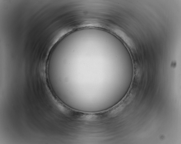 X0000102861282200808251217