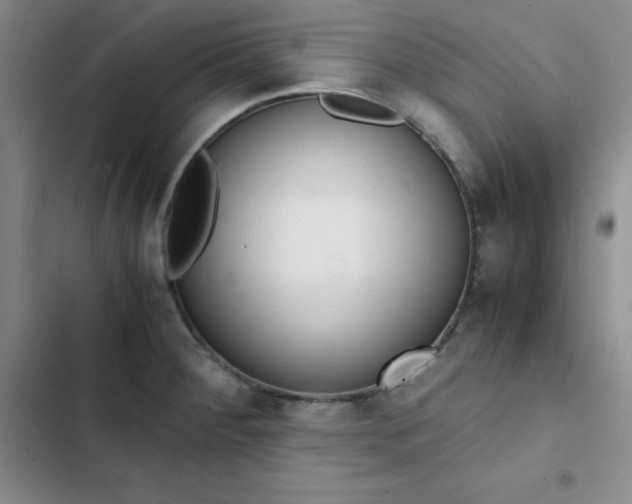 X0000102861284200808251217