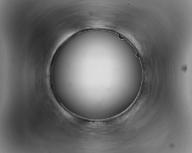 X0000102861285200808251217