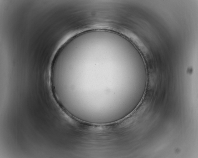 X0000102861286200808251217