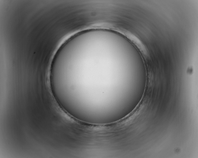 X0000102861288200808251217