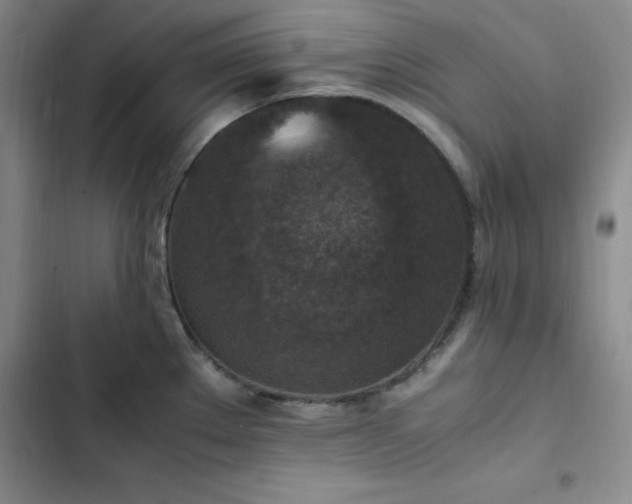 X0000102861289200808251217