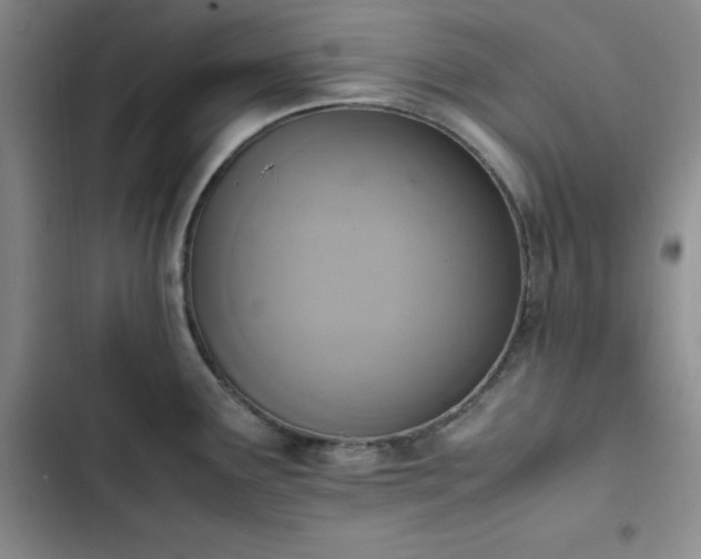 X0000102861291200808251217