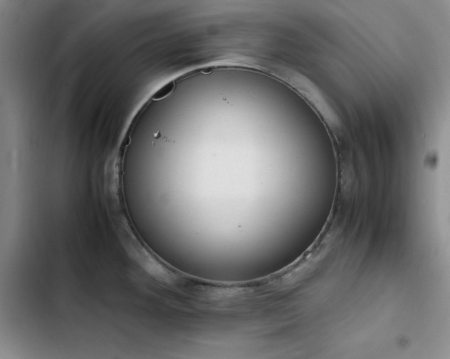 X0000102861292200808251217