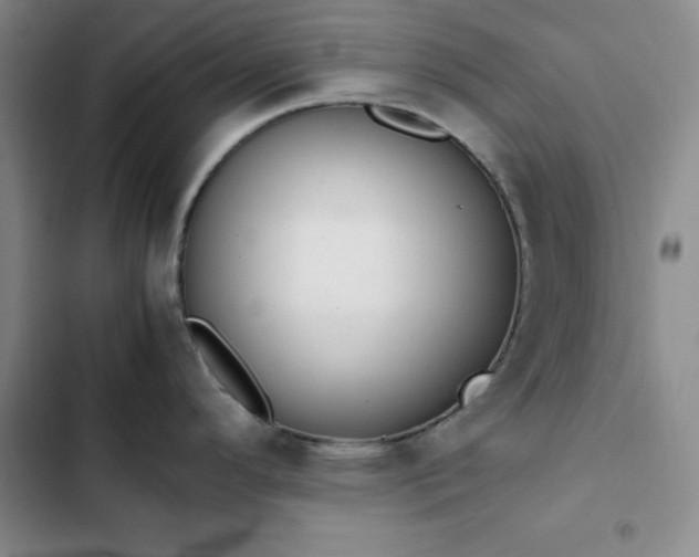 X0000102861296200808251217