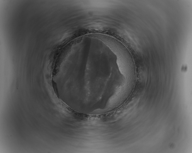 X0000102861297200808251216