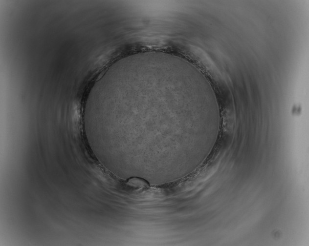 X0000102861298200808251216