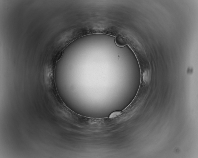 X0000102861299200808251216