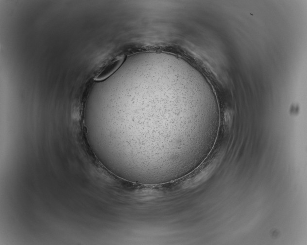 X0000102861300200808251216