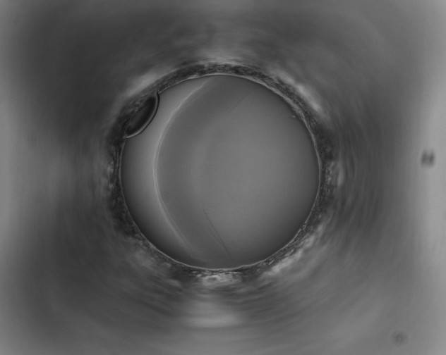 X0000102861303200808251216