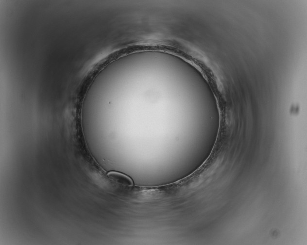 X0000102861304200808251217