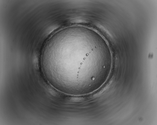 X0000102861305200808251217