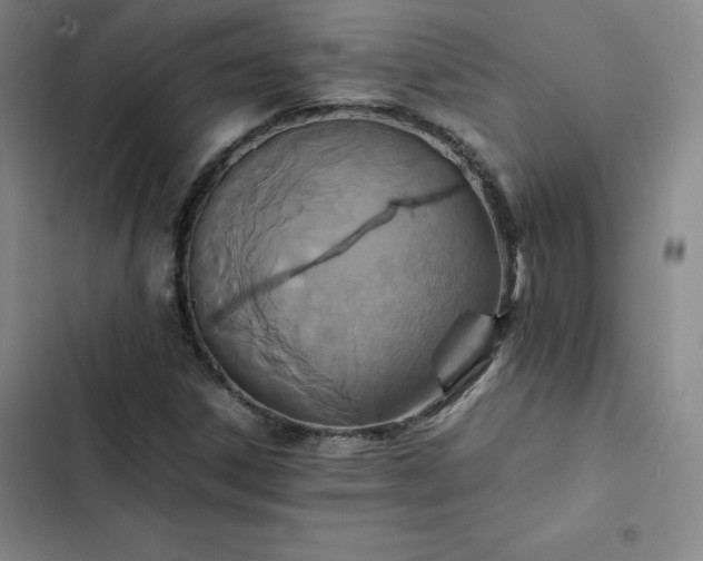 X0000102861306200808251217