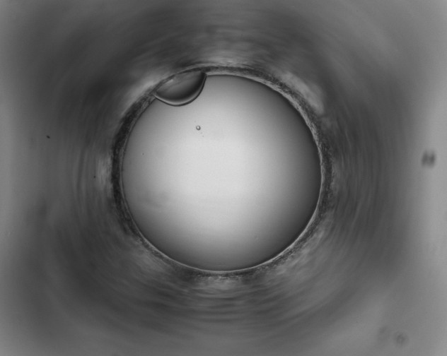 X0000102861307200808251217