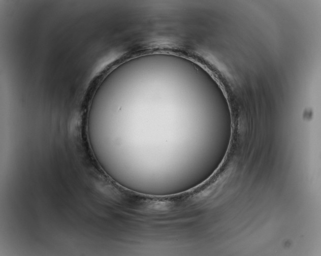 X0000102861309200808251217