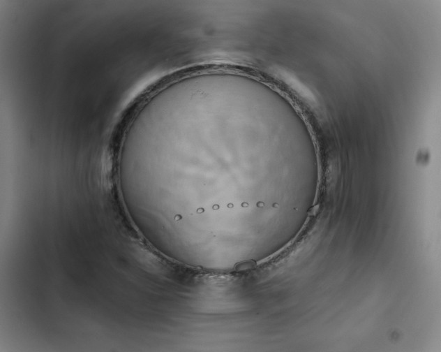 X0000102861310200808251217