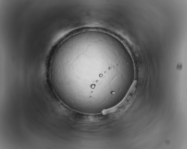 X0000102861311200808251217