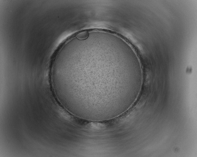 X0000102861312200808251217