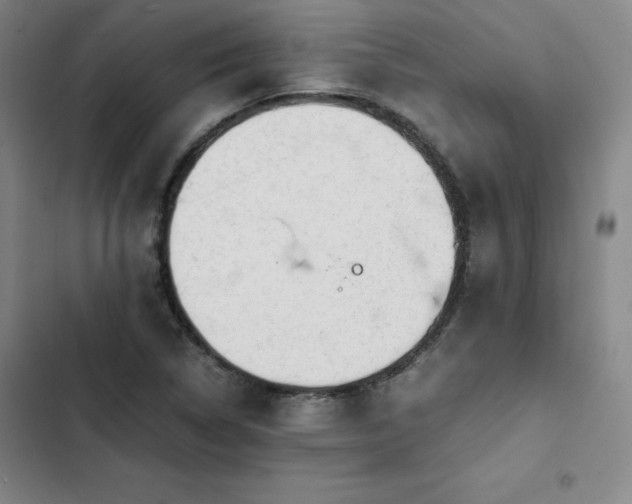 X0000102861314200808251217