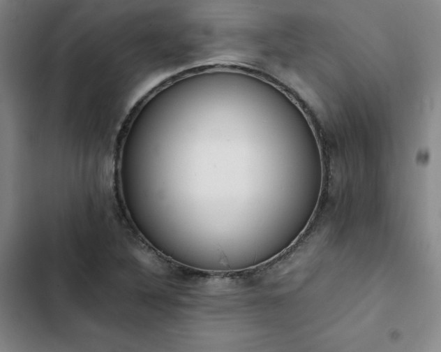 X0000102861316200808251217