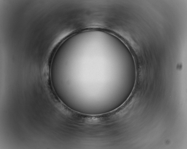 X0000102861317200808251217